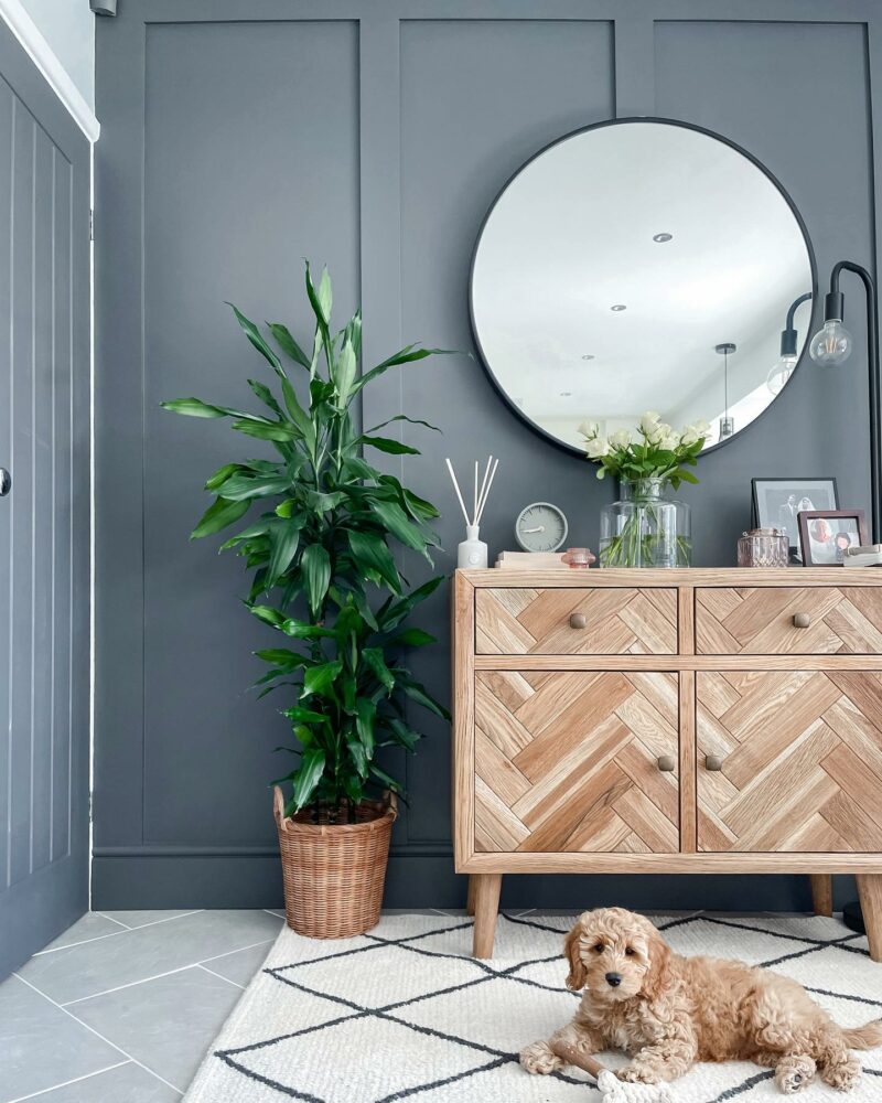 Parquet natural oak small sideboard in a room with dark grey walls. Room features a large plant, cosy rug and a cute puppy. 