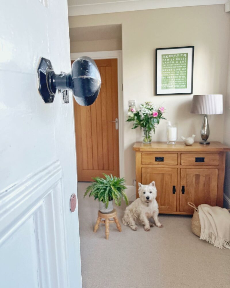 Oak Furnitureland Original Rustic small sideboard in an entrance hall with a Westie dog and plants.
