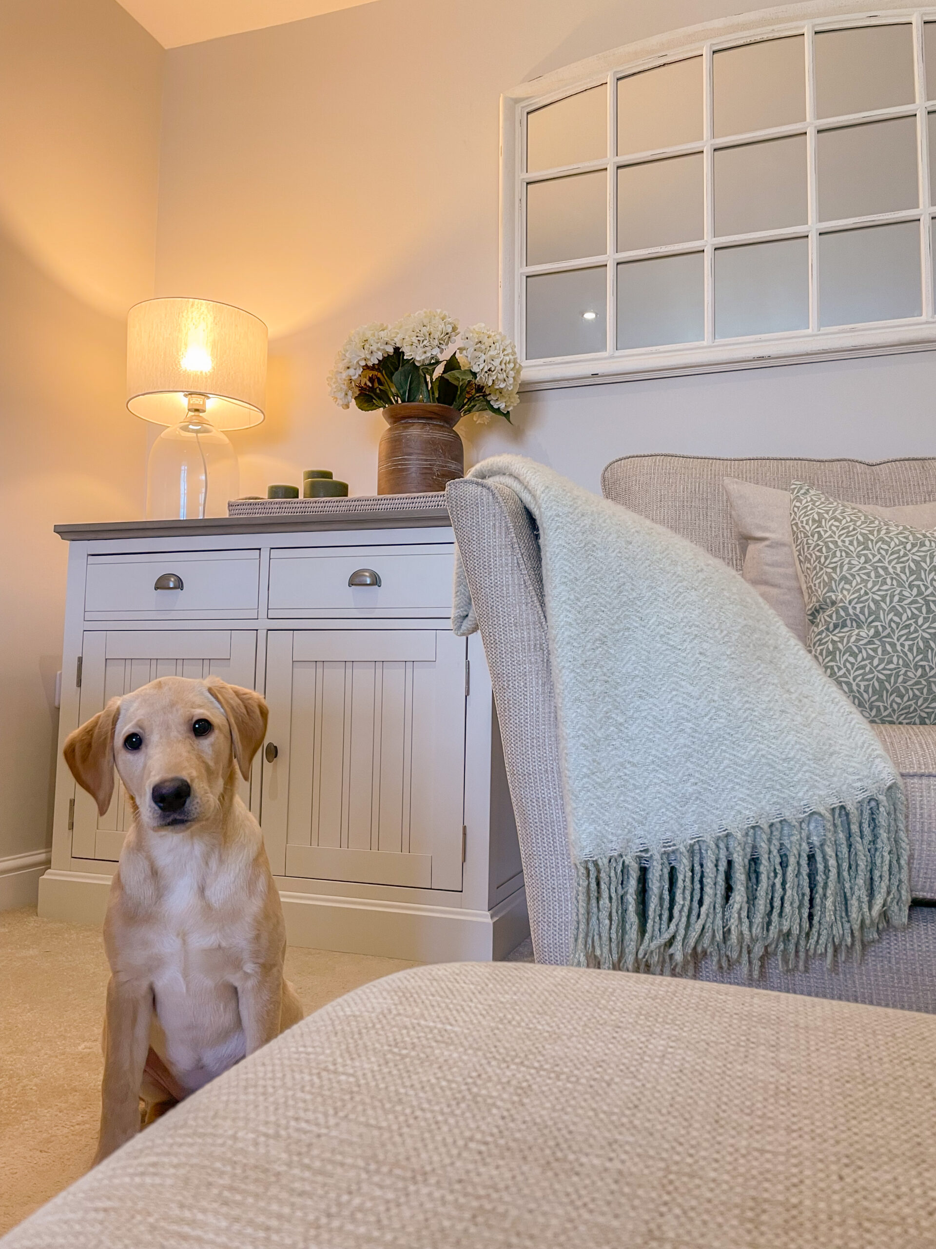 Oak Furnitureland Brompton white painted sideboard in a living room with a cream sofa and a labrador puppy looking at the camera.
