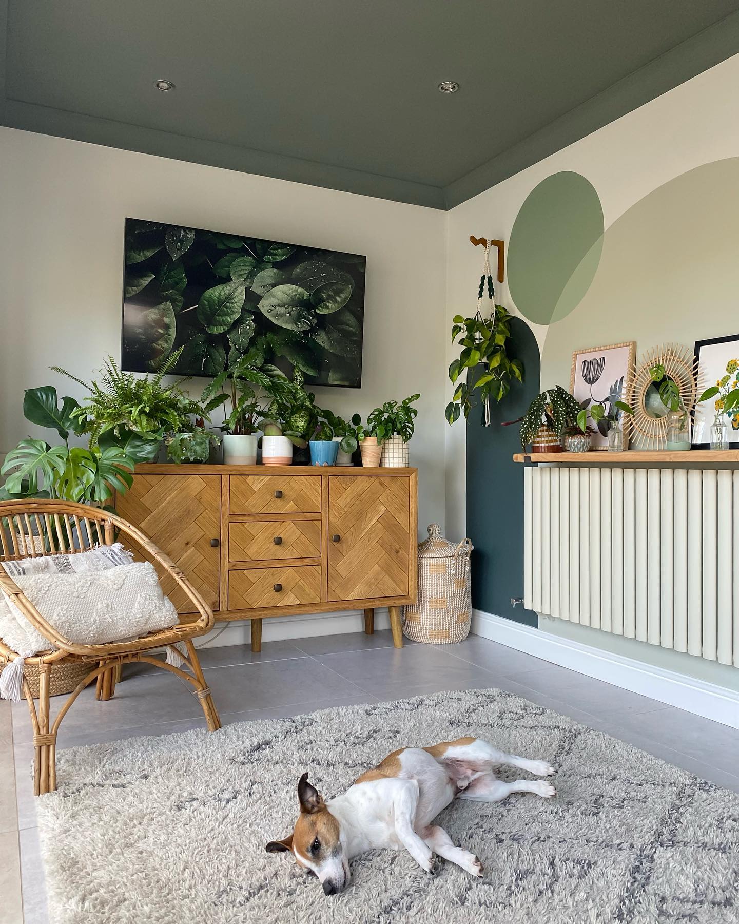 Living room with the Parquet sideboard topped with lots of green plants and a dog in the foreground taking a nap on a fluffy rug.
