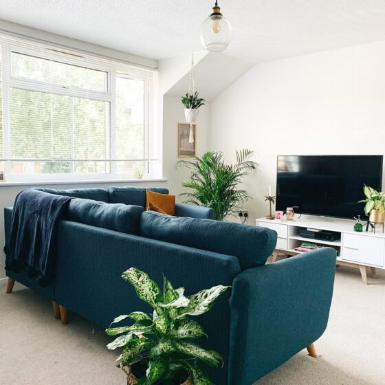 Blue corner sofa in living room full of plants