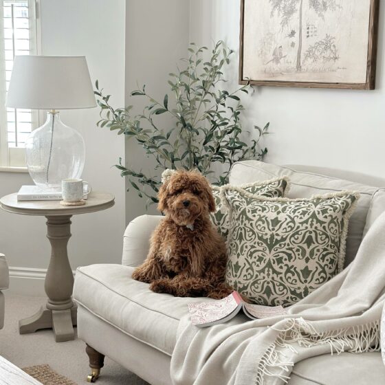 Neutral sofa with a cute brown dog sitting on and the Burleigh pedestal table in the background.