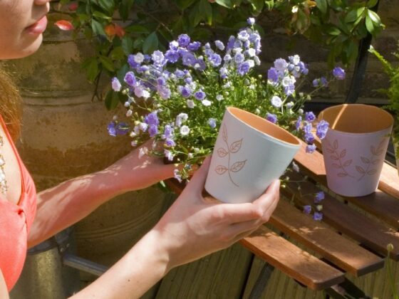 DIY Terracotta Plant Pot Beauty Sho