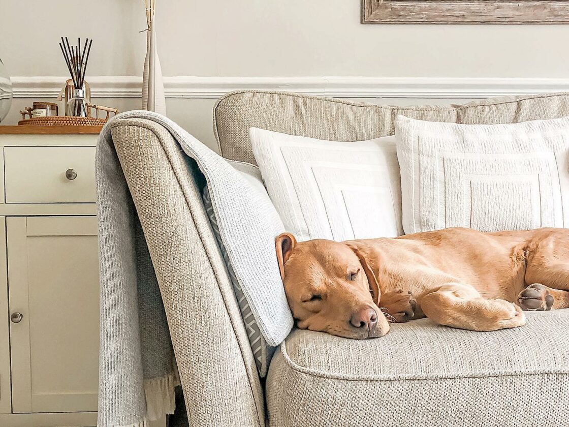 How to give your home office a refresh Oak Furnitureland Blog