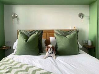 Oak Furnitureland Romsey bed with dog and green decor