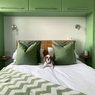 Oak Furnitureland Romsey bed with dog and green decor