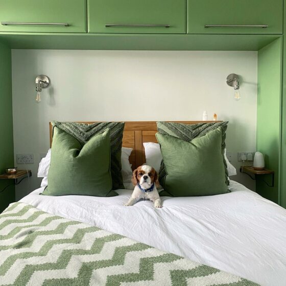Oak Furnitureland Romsey bed with dog and green decor