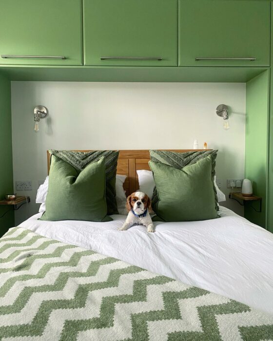 Oak Furnitureland Romsey bed with dog and green decor
