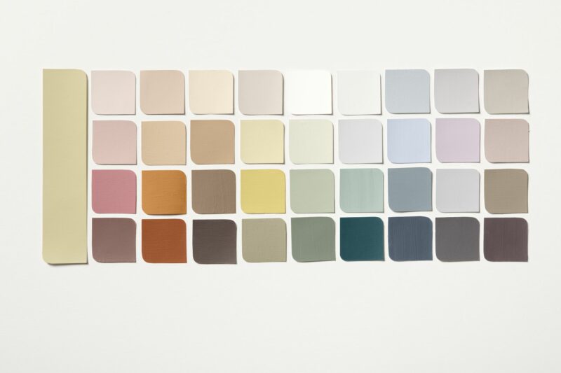 Flat lay of swatches of the Dulux Colour of the Year 2023 Wild Wonder and its accompanying colour palettes.