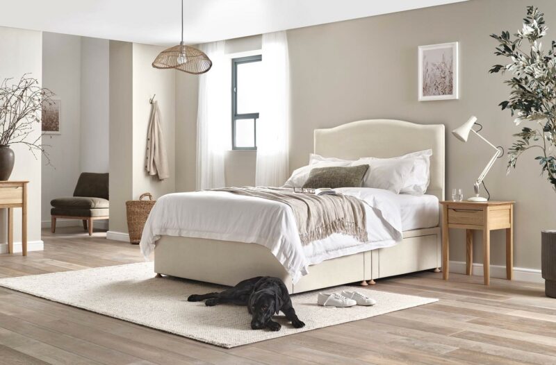 Eden cream upholstered divan bed in a neutral bedroom with cream rug with a black dog lying on it. 