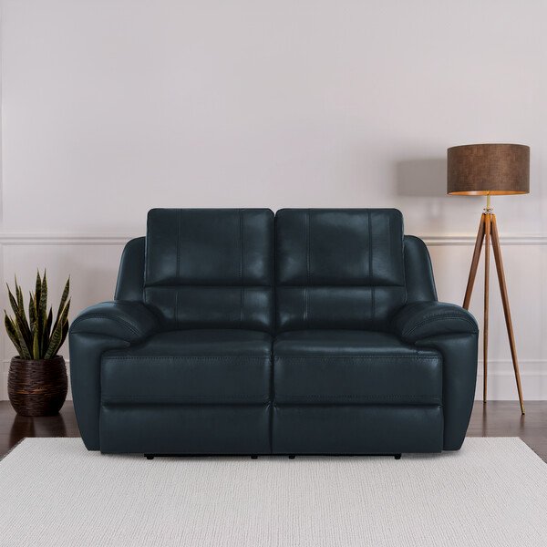 Blue Leather Sofas - 2 Seater Sofa - Austin Range - Oak Furnitureland