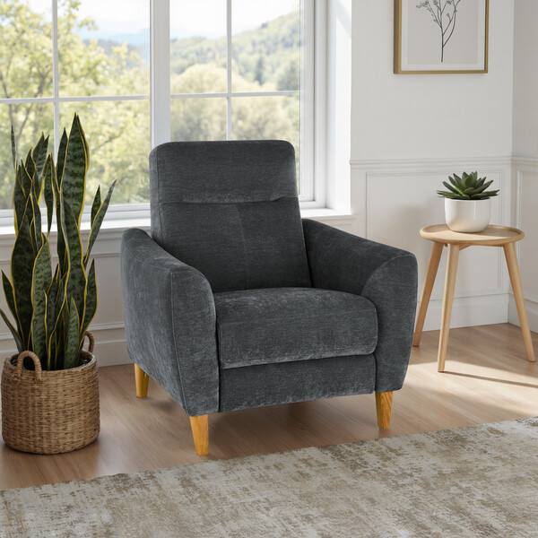 Amigo Coal Fabric Sofas - Static Armchair - Dylan Range - Oak Furnitureland