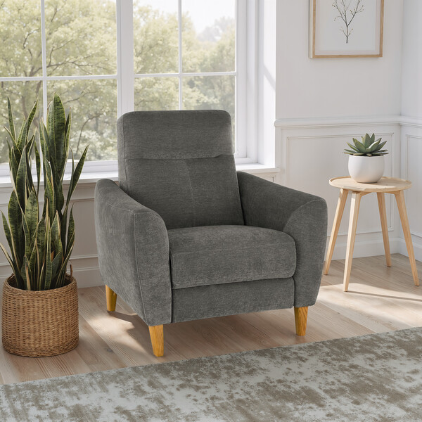 Darwin Charcoal Fabric Sofas - Static Armchair - Dylan Range - Oak Furnitureland