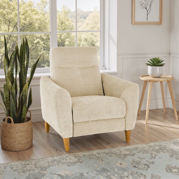 Darwin Ivory Fabric Sofas - Static Armchair - Dylan Range - Oak Furnitureland