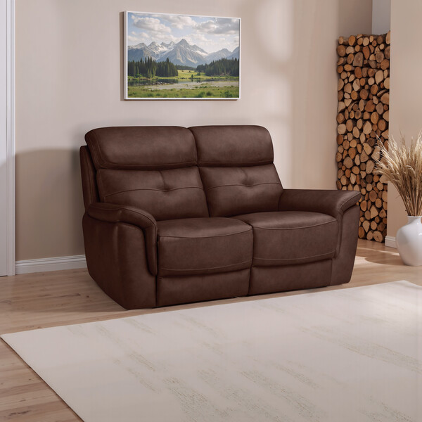 Odyssey Tan Leather Sofas - 2 Seater Sofa - Iver Range - Oak Furnitureland