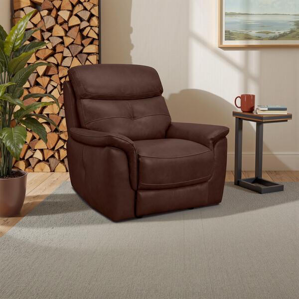 Odyssey Tan Leather Sofas - Armchair - Iver Range - Oak Furnitureland