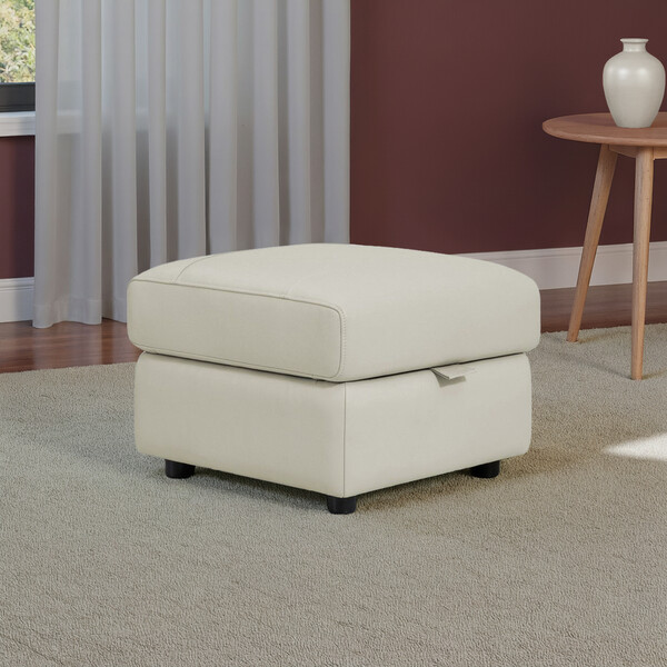 Bone China Leather Sofas - Storage Footstool - Theo Range - Oak Furnitureland